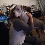 This is our big guy. What a big helper he is.