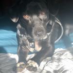 Axle Vickrey enjoying the sun