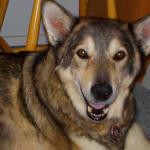 Hobos picture for new ID