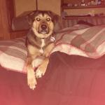 My little Love & savior