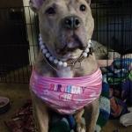 My Birthday girl