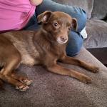 Coco at her grandparents