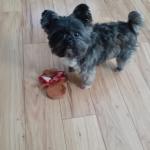 Always aware of me and my moves.