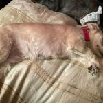 Lady Diva Relaxing afte we Had A long Day at The Doctors