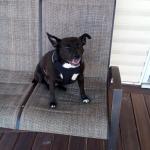 Enjoying a day at the beach ??️