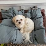 Relaxing after a bath