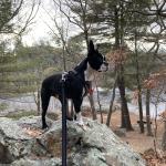 All ways on the lookout