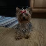 Princess Zosia