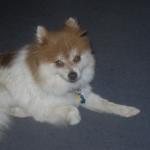 My Beautiful Pumpkin!