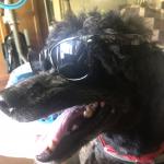 Loved to ride the highway