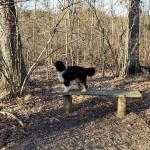 Winston's Bench