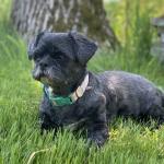 My sweetest girl Kira