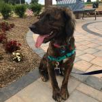 Gus.. Not in Work Mode