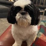 Face of Mikey Albert when he is begging