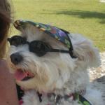 Bianca Smiles in Shades